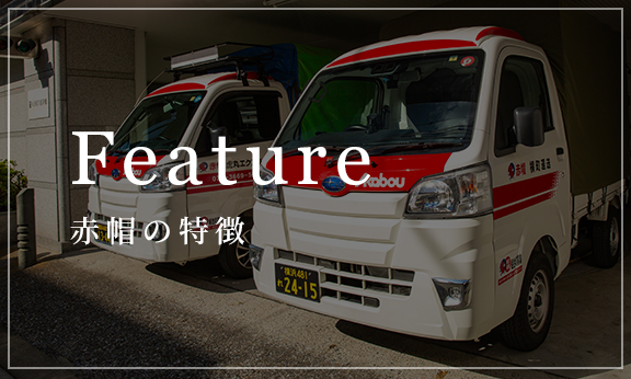sample-02